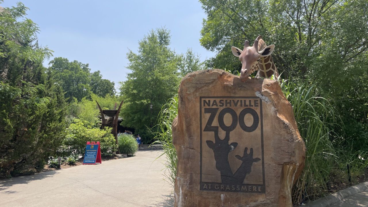 Massive Data Center Proposed Near Nashville Zoo Sparks Major Outrage