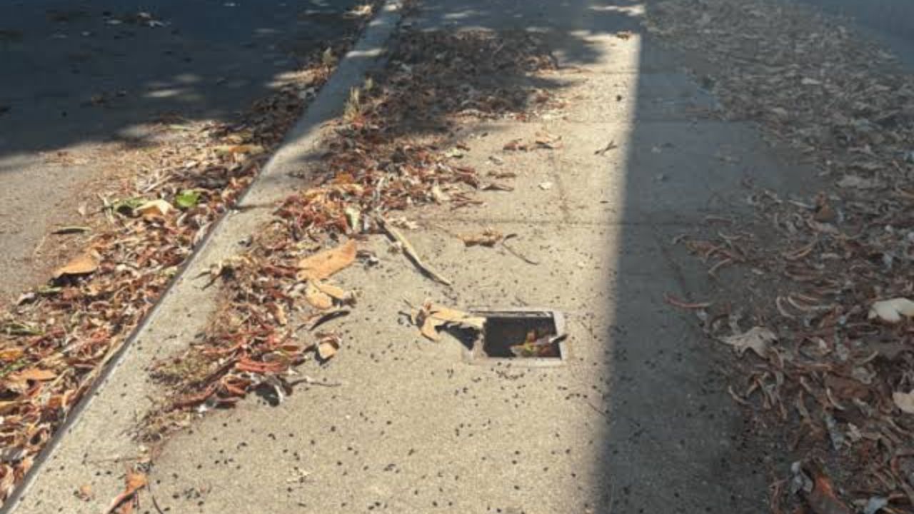 San Francisco Neighbors Cited After Thief Steals Sidewalk Sewer Grates